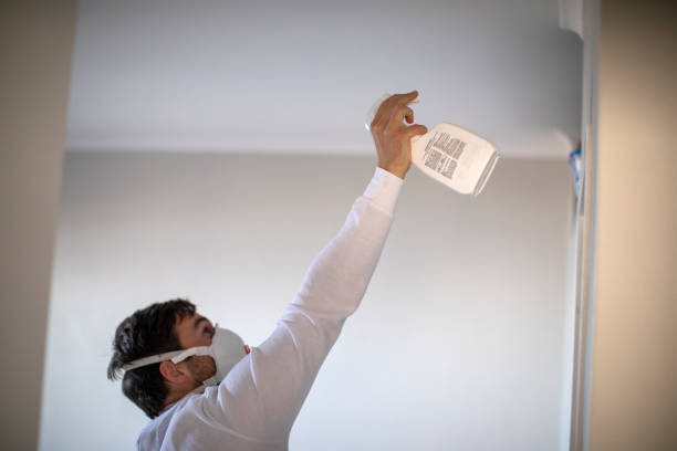 Mold Testing and Removal in Wausau, WI