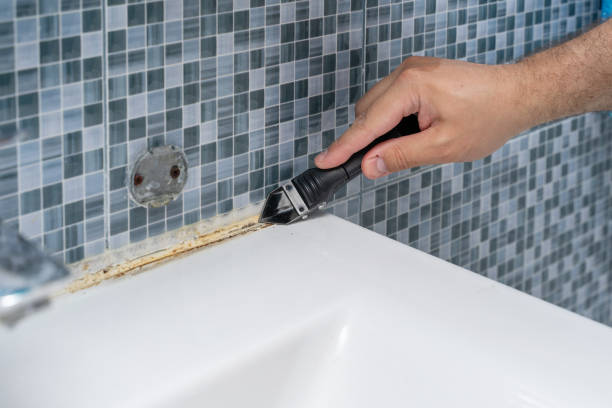 Best Attic Mold Removal  in Wausau, WI